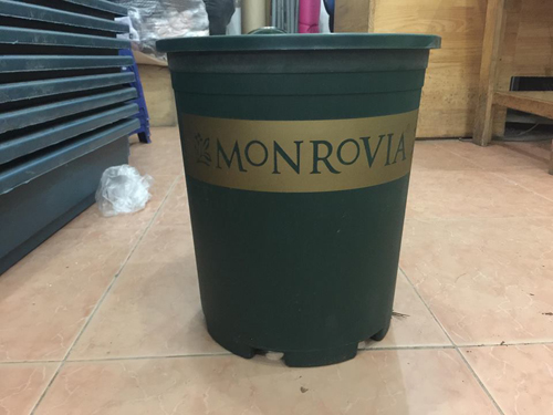 Chậu nhựa Monrovia