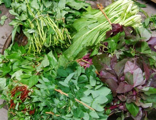 Các loại rau ăn lá - Siêu Thị Hạt Giống