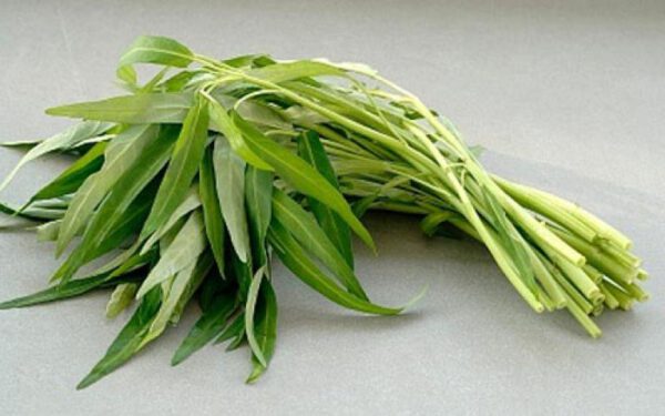 Cách trồng rau muống - Siêu Thị Hạt Giống